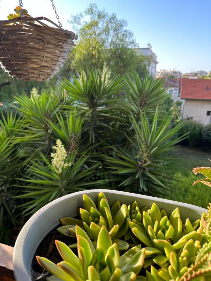 Location De Chambre Privee Dans Residence Securisee Privee,Parking Gratuit , 1 Minute Du Tramway, A 9 Minute Du Centre Ville, Accessible A Plusieurs Transports Nice Eksteriør billede